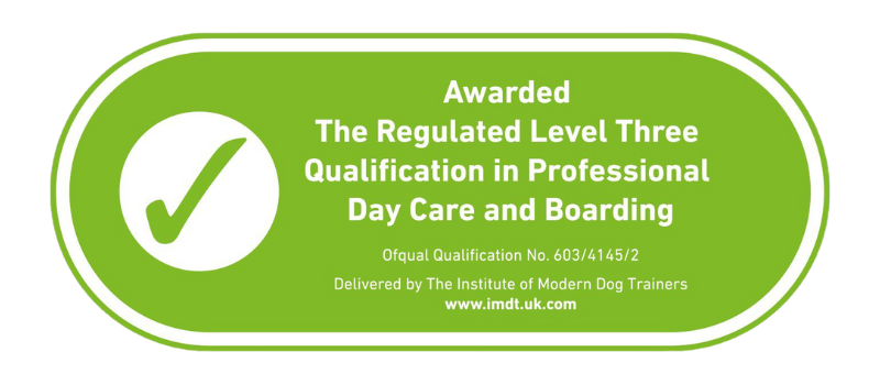 Level 3 Qualification Professional Day Care