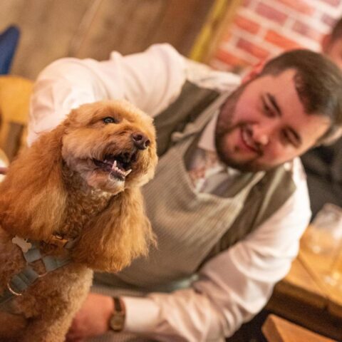 Wedding Dog Chaperone