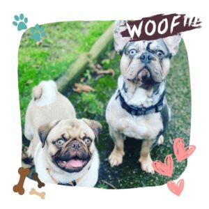 Pablo & Pierro